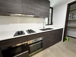 Sims Urban Oasis (D14), Condominium #562154501